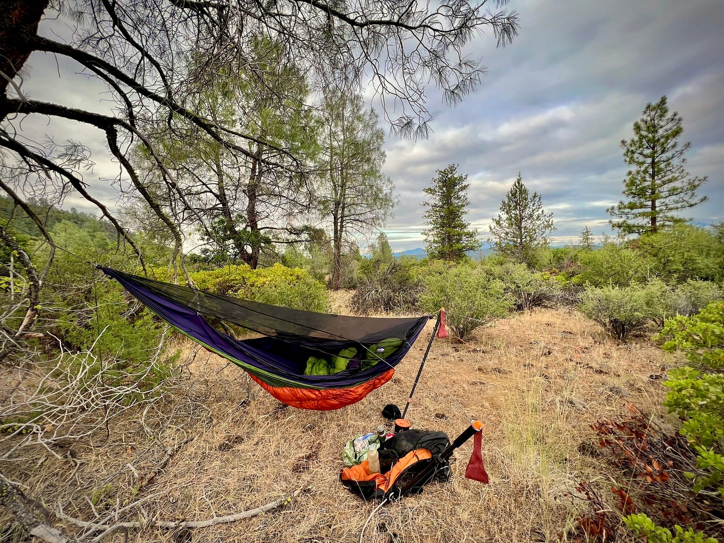 Tensa Trekking Treez hammock stand Tensa Outdoor